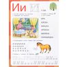 Азбука с прописями Первый учебник малыша